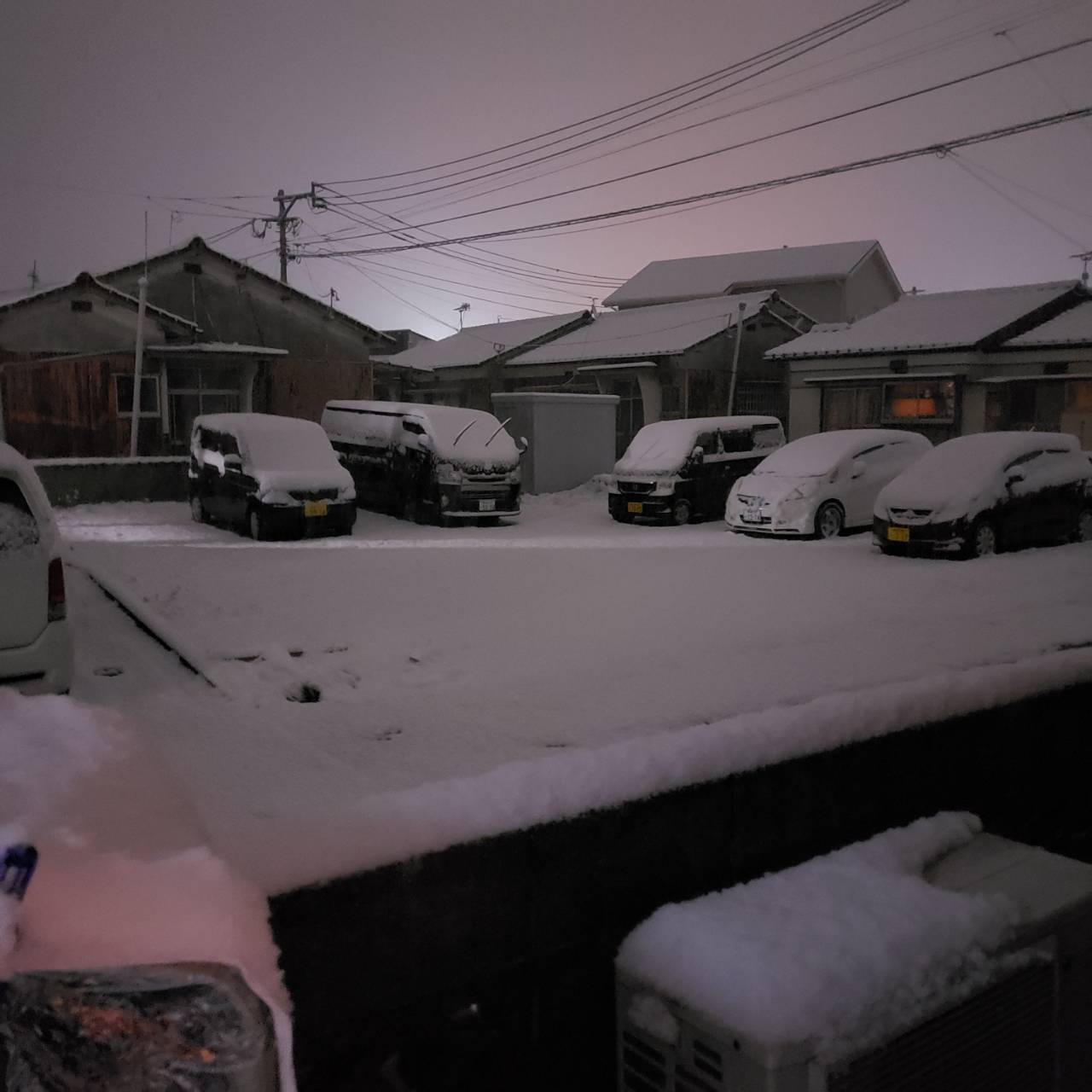 夜の雪